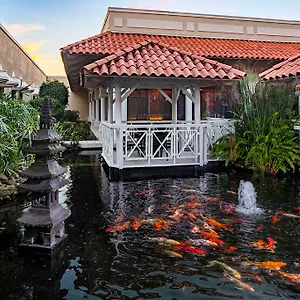 https://hyatt-regency-coco-beach-puerto-rico.greaterantilleshotels.net